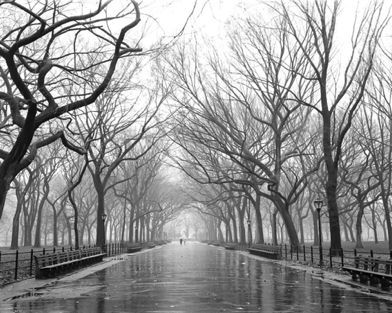 Fig 44 Poets walk central park nyc dave beckerman.jpeg


READY TO USE